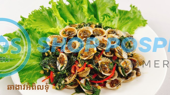 ងាវឆាអំពិលទំុ